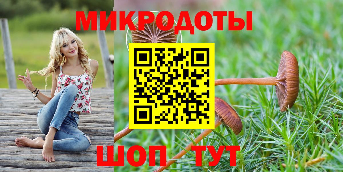 Галлюциногенные грибы Psilocybine cubensis Томск