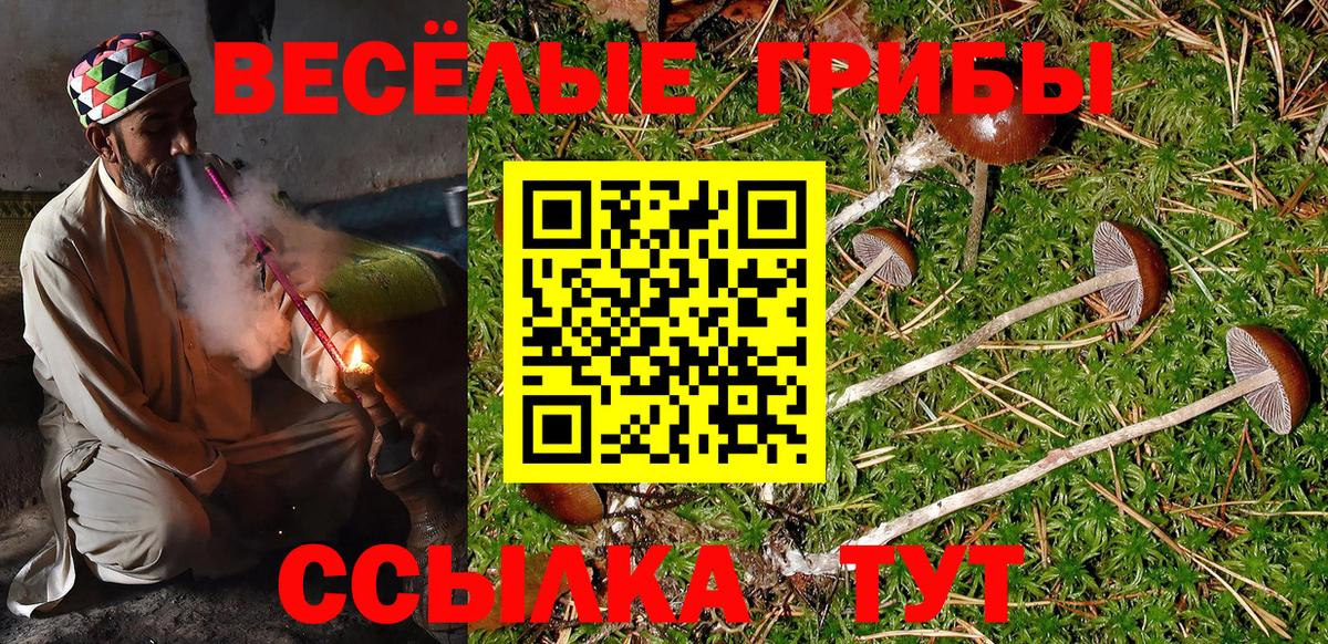 Галлюциногенные грибы MAGIC MUSHROOMS  Псилоцибиновые грибы Psilocybine cubensis  Томск  Вход с VPN 