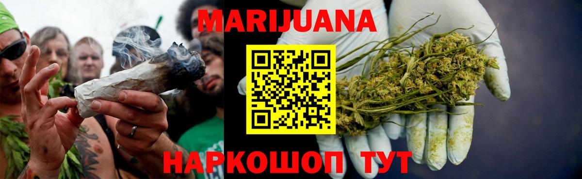 Канабис конопля Томск